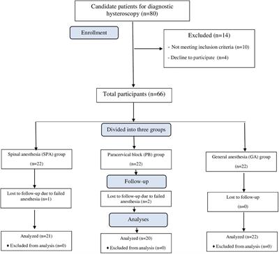 Comparison of the effects of spinal anesthesia, paracervical block and general anesthesia on pain, nausea and vomiting, and analgesic requirements in diagnostic hysteroscopy: A non-randomized clinical trial